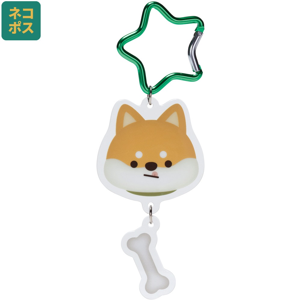 ＳＨＩＢＡ