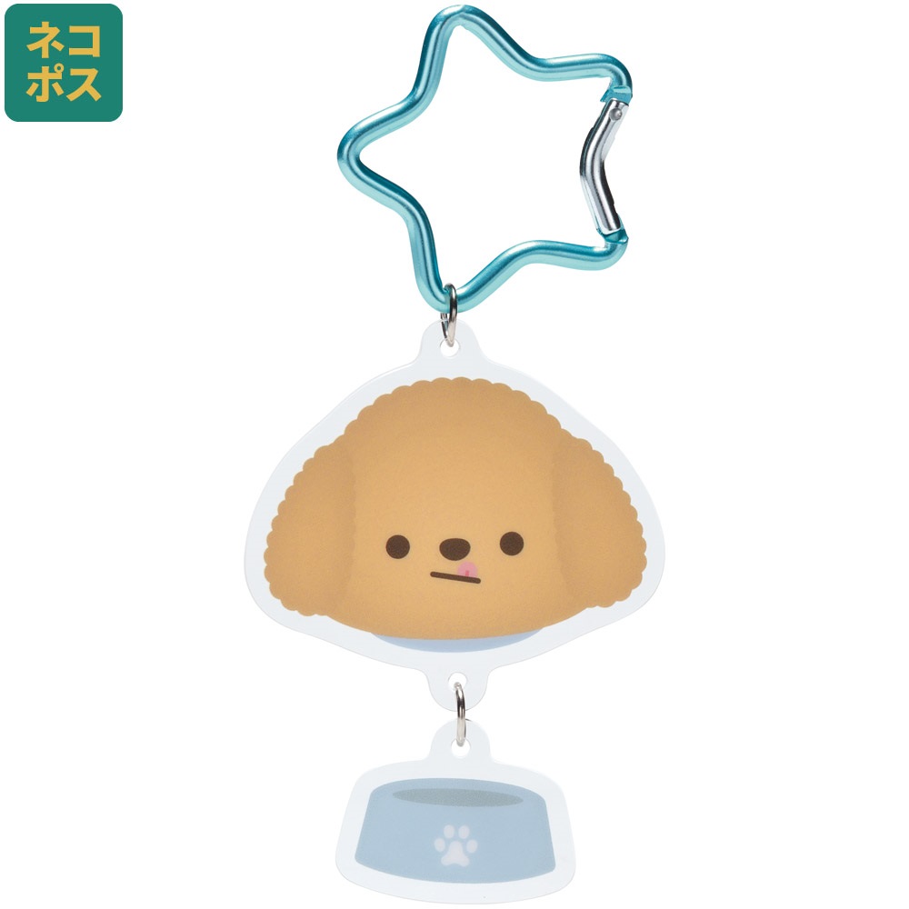 ＴＯＹ　ＰＯＯＤＬＥ