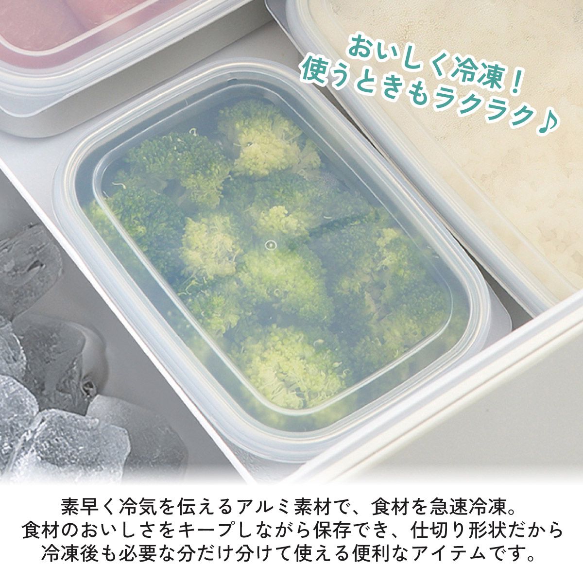 保存容器 アルミ保存容器 500ml 小 アルミ 急速 冷凍 浅型 蓋付き 日本製 AKH2 スケーター
