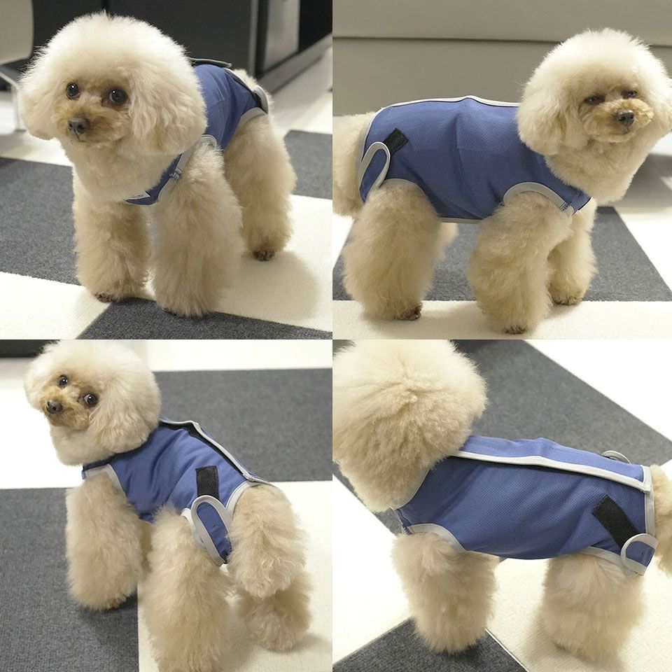 メール便対象品】 ペット用 術後服 犬 男の子用 3号 ネイビー 大阪公立