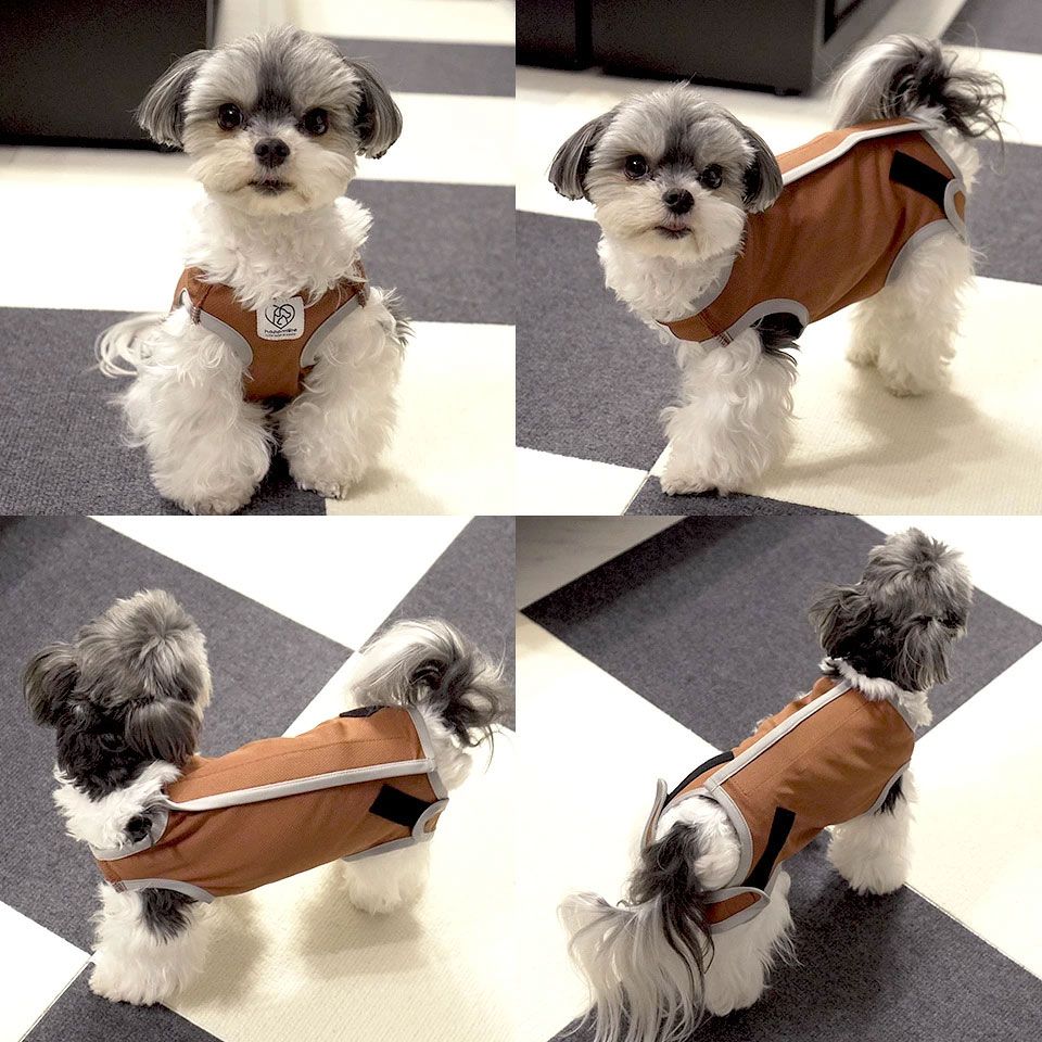 【メール便対象品】 ペット用 術後服 犬 女の子用 3号 ブラウン PETCF1 スケーター メス 雌【服 抗菌 消臭 手術後 ウェア いぬ わんちゃん 肌にやさしい 着せやすい 傷なめ 防止 傷口 保護 茶】