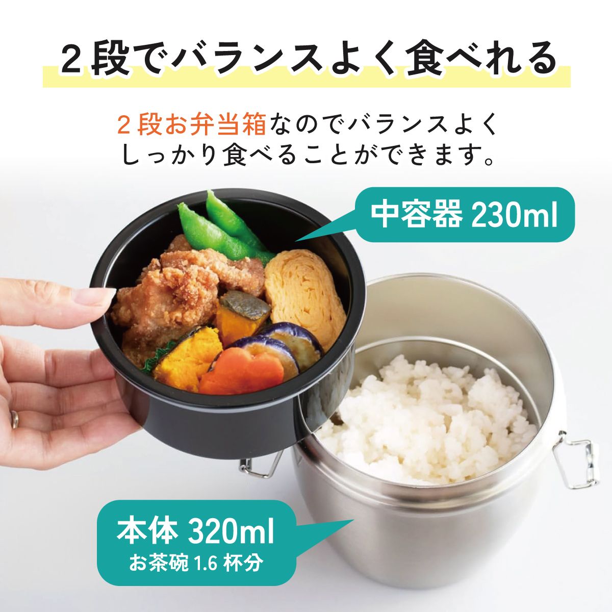【送料無料】抗菌真空ステンレスランチジャー 丼タイプ 550ml/2段ベーシック/STLBD6AG_4973307550379
