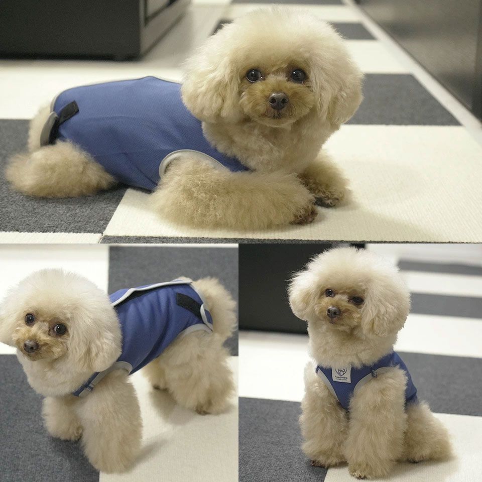 メール便対象品】 ペット用 術後服 犬 男の子用 3号 ネイビー 大阪公立