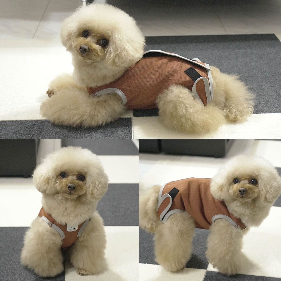 【メール便対象品】 ペット用 術後服 犬 女の子用 3号 ブラウン PETCF1 スケーター メス 雌【服 抗菌 消臭 手術後 ウェア いぬ わんちゃん 肌にやさしい 着せやすい 傷なめ 防止 傷口 保護 茶】
