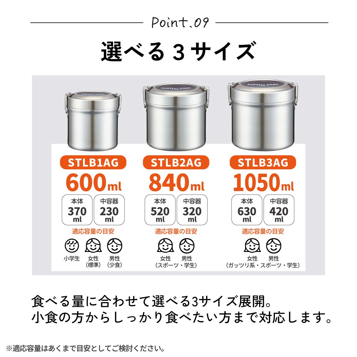 【送料無料】抗菌真空ステンレスランチジャー 840ml/2段ベーシック／STLB2AG_4973307627569
