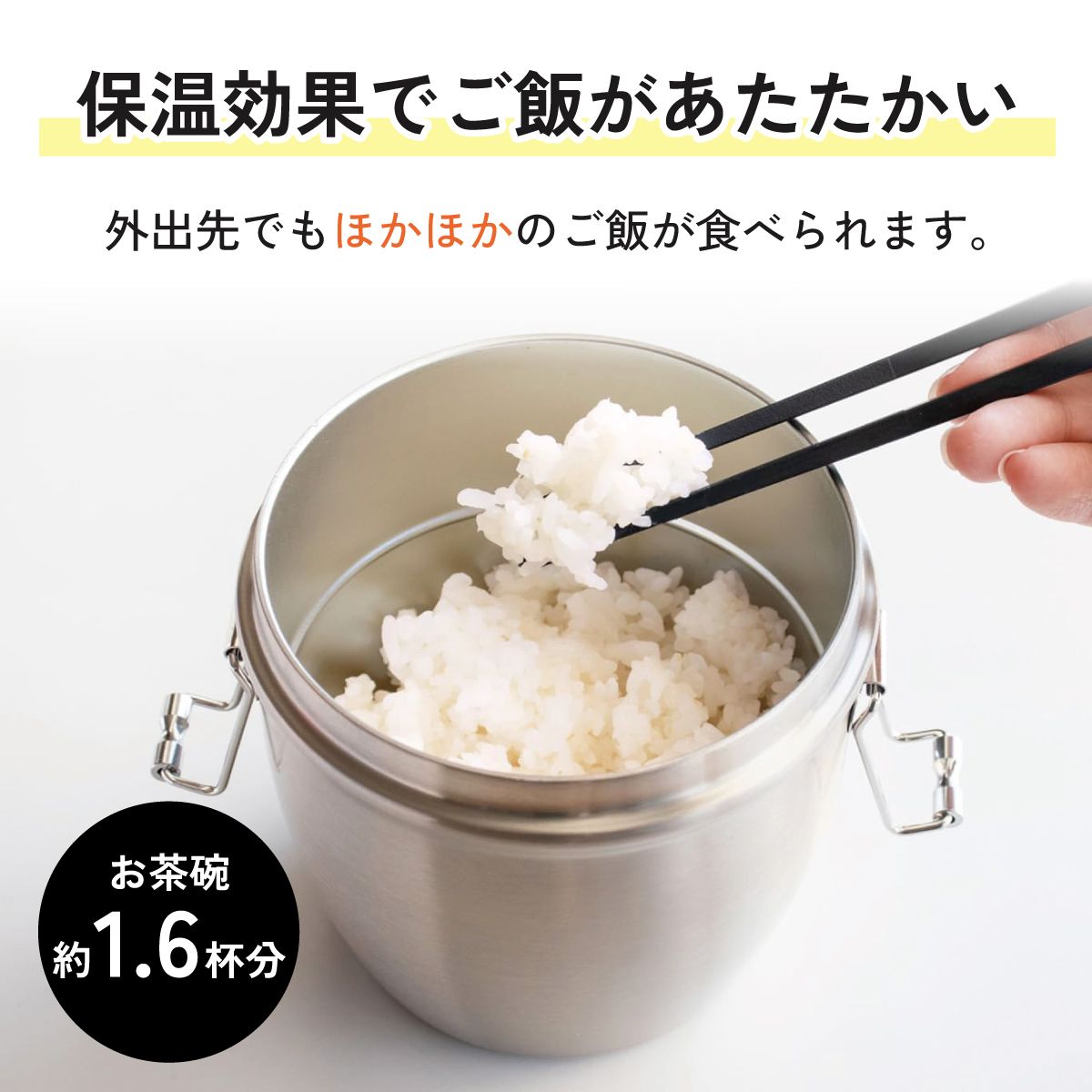 【送料無料】抗菌真空ステンレスランチジャー 丼タイプ 550ml/2段ベーシック/STLBD6AG_4973307550379