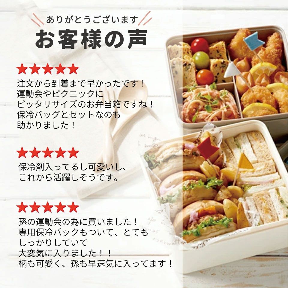 【送料無料】保冷バッグ付行楽ランチセット スヌーピー ピクニック/KCPC4_4973307620126/スケーター