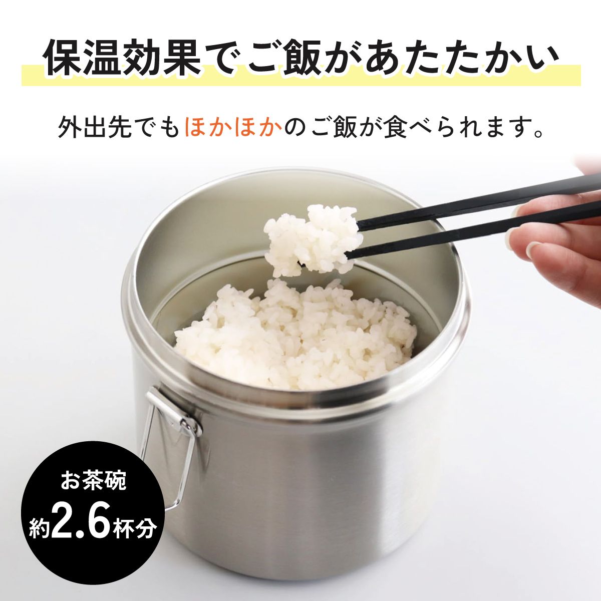 【送料無料】保温・保冷 抗菌真空ステンレスランチジャー 840ml/2段 シルバー /保温・保冷弁当箱 STLB2AG_4973307627569