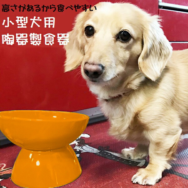 【送料無料】陶器製 小型犬用食器オレンジ陶器 陶製 犬 ペット用食器  大阪公立大学との共同開発 スケーター