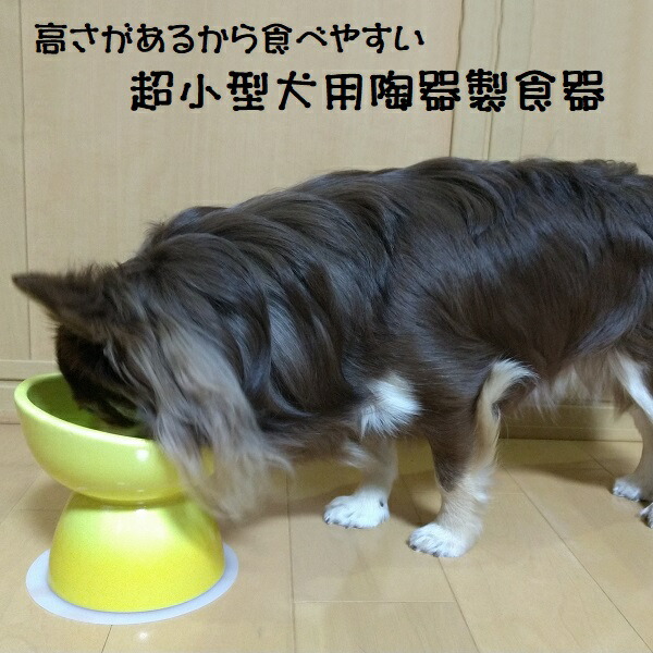 【送料無料】ペット 食器 犬用 食器台 食器皿 陶器 製 えさ皿 餌入れ おしゃれ エサ台 餌台 超小型犬 CHOB1 スケーター 大阪公立大学との共同開発【ペット 犬 フードボウル フードボール 水入れ 水飲み 器 ボウル0】