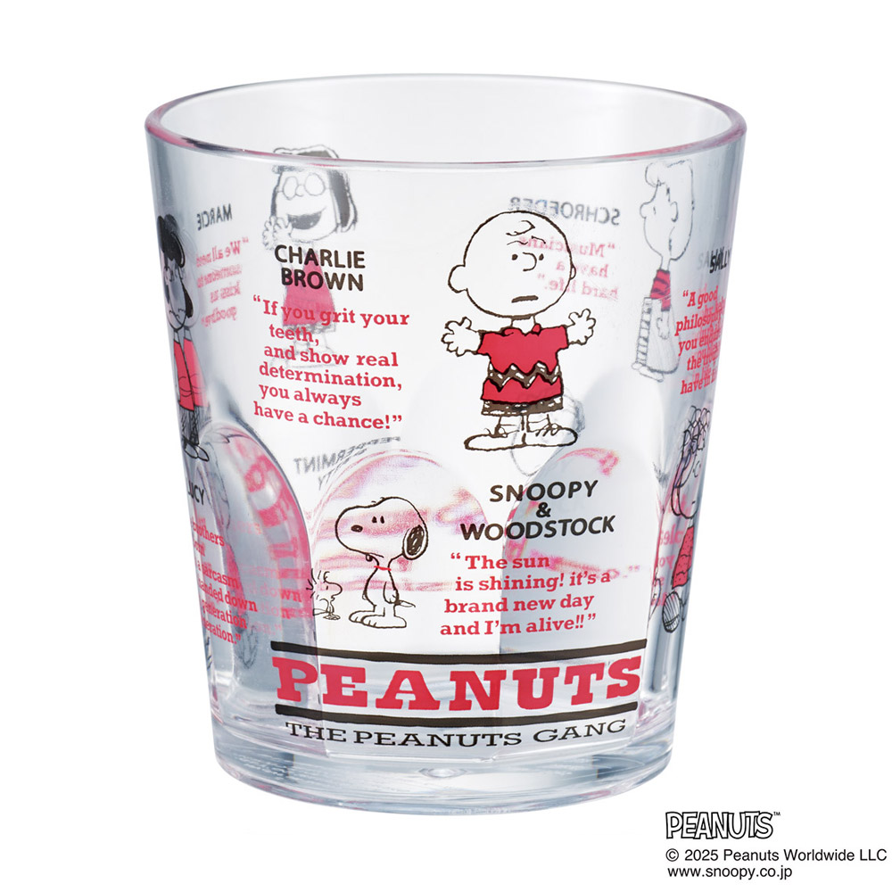 スケーター アクリル コップ 割れにくい 280ml プラスチック 子供 キッズ キャラクター skater KSA4J GANG スヌーピー SNOOPY ピーナッツ 女性【透明 クリア アクリルコップ 洗面所 タンブラー】