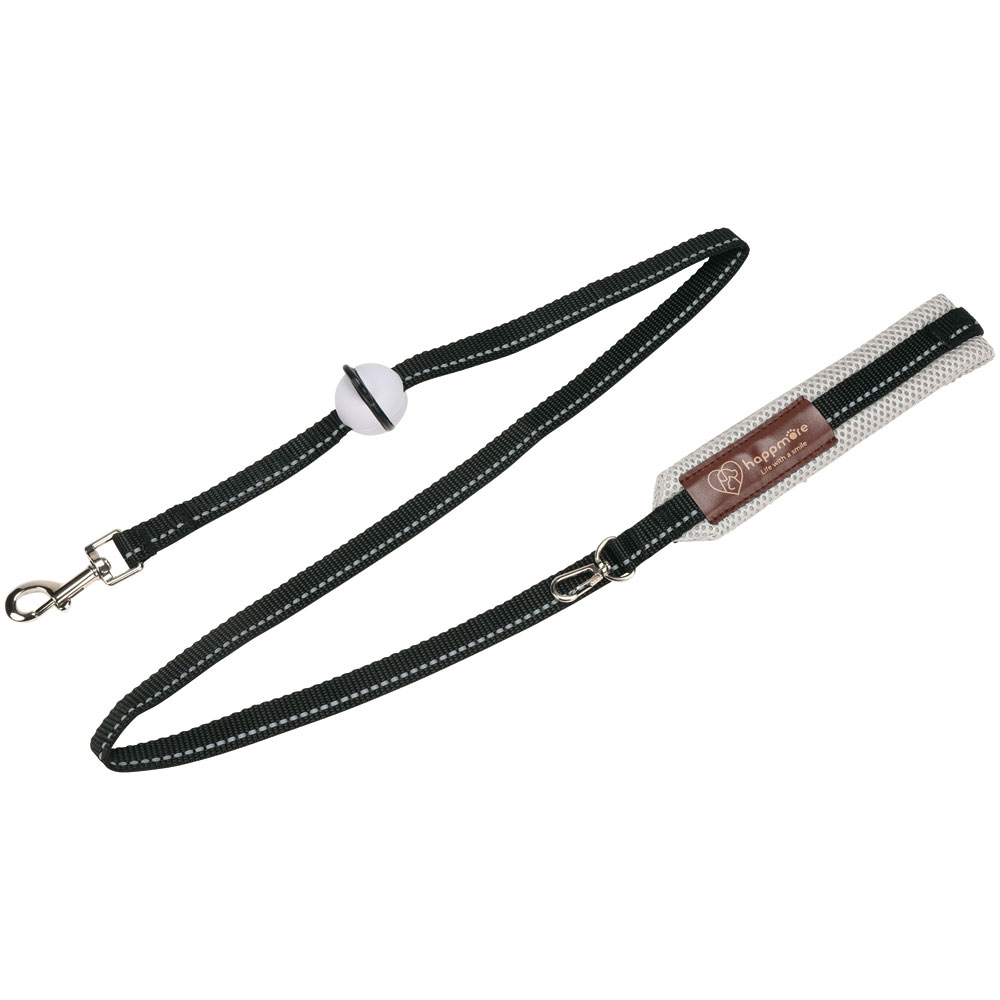 グリップボール付き リード 犬 ペット 超小型犬 小型犬 散歩 さんぽ グッズ 用品 スケーター skater PLD1 大阪公立大学との共同開発 オス メス 雄 雌【わんちゃん ワンちゃん いぬ お散歩】