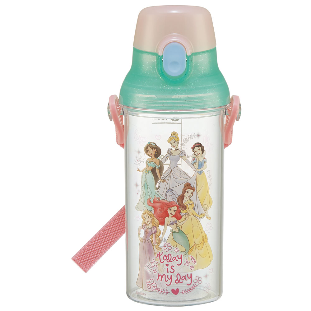健康クリアマーカーボトル 480ml プリンセス23/PSB5TRC_4973307651472
