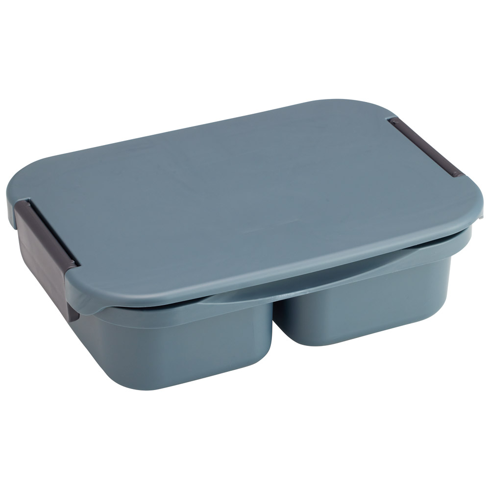 抗菌 セパレート型 弁当箱 900ml タイト ランチボックス 1段 一体型仕切り スケーター skater PTLBS9AG アッシュカラー アッシュブルー【お弁当 一段 大人 子供 レンジ 食洗機 対応】