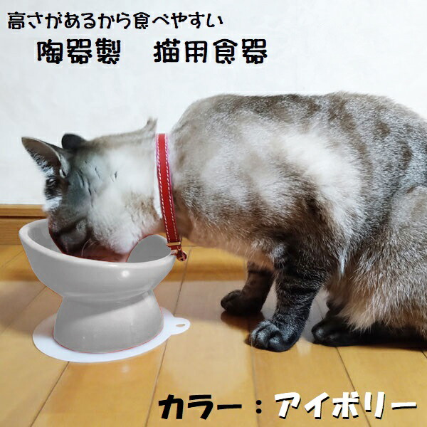 【送料無料】陶器製 猫用食器アイボリー（ホワイト）陶器 陶製 ねこ ネコ ペット用食器  大阪公立大学との共同開発 スケーター