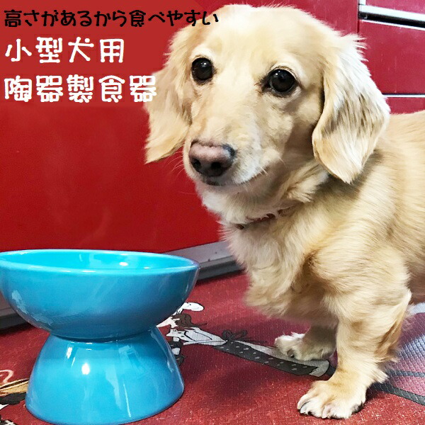【送料無料】陶器製 小型犬用食器ミント（ブルー）陶器 陶製 犬 ペット用食器  大阪公立大学との共同開発 スケーター