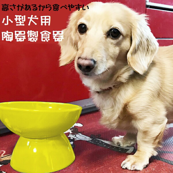 【送料無料】陶器製 小型犬用食器イエロー陶器 陶製 犬 ペット用食器  大阪公立大学との共同開発 スケーター