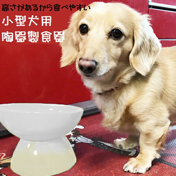 【送料無料】陶器製 小型犬用食器アイボリー（ホワイト）陶器 陶製 犬 ペット用食器  大阪公立大学との共同開発 スケーター