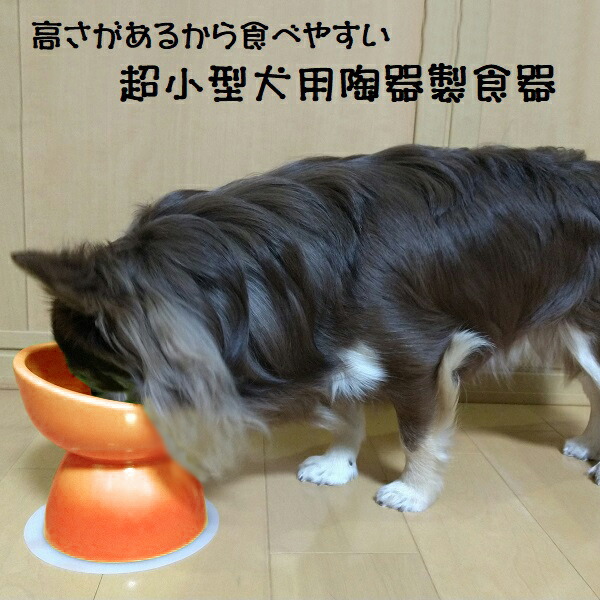 【送料無料】ペット 食器 犬用 食器台 食器皿 陶器 製 えさ皿 餌入れ おしゃれ エサ台 餌台 超小型犬 CHOB1 スケーター 大阪公立大学との共同開発【ペット 犬 フードボウル フードボール 水入れ 水飲み 器 ボウル0】