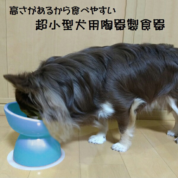 【送料無料】ペット 食器 犬用 食器台 食器皿 陶器 製 えさ皿 餌入れ おしゃれ エサ台 餌台 超小型犬 CHOB1 スケーター 大阪公立大学との共同開発【ペット 犬 フードボウル フードボール 水入れ 水飲み 器 ボウル0】