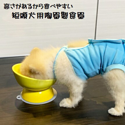 【送料無料】陶器製 短頭犬用食器イエロー陶器 陶製 犬 ペット用食器  大阪公立大学との共同開発 スケーター
