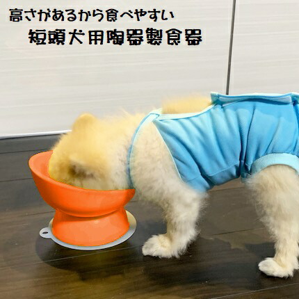 【送料無料】陶器製 短頭犬用食器オレンジ陶器 陶製 犬 ペット用食器  大阪公立大学との共同開発 スケーター