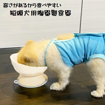 【送料無料】陶器製 短頭犬用食器アイボリー（ホワイト）陶器 陶製 犬 ペット用食器  大阪公立大学との共同開発 スケーター