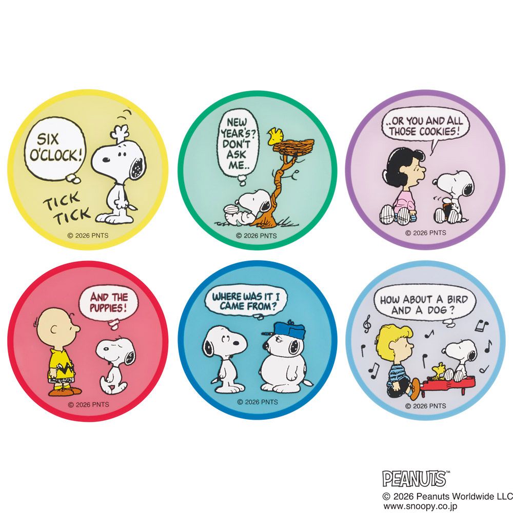 スケーター キャラクター ミステリーボックス ラバーコースター 全6種類 可愛い おしゃれ RCSTB1B skater スヌーピー SNOOPY ピーナッツ 女性【ブラインド コースター ランダム お楽しみ サプライズ】