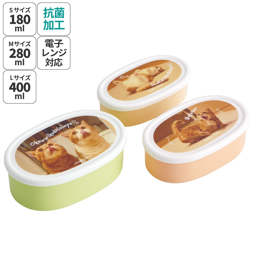 弁当箱 シール容器 抗菌 保存容器 3個セット 茶太郎ときなこ／SRS3SAG_4973307664106