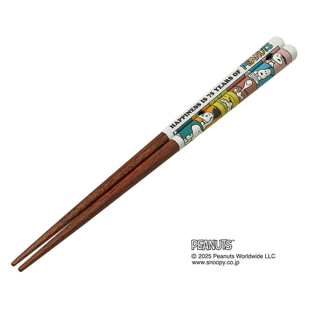 塗り箸 21cm
