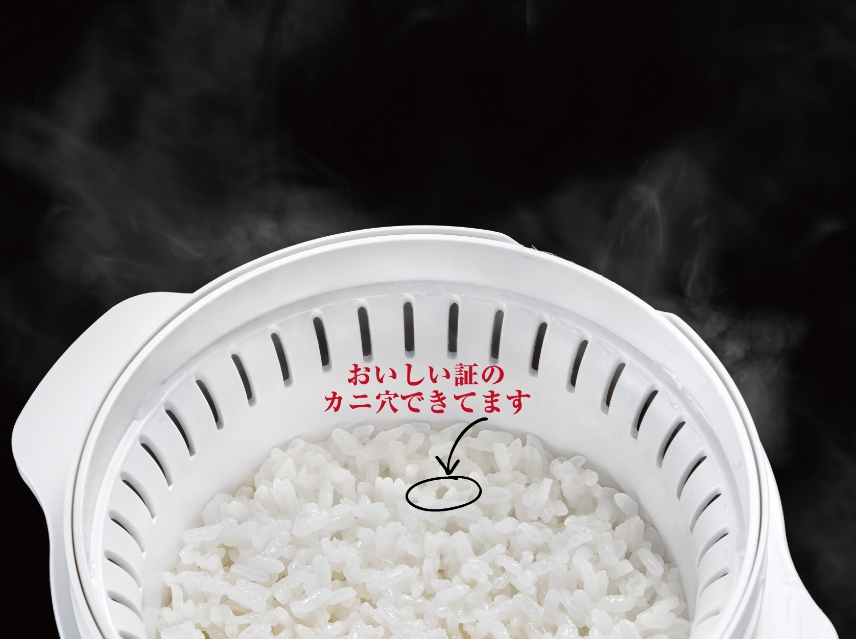 カニ穴ごはん